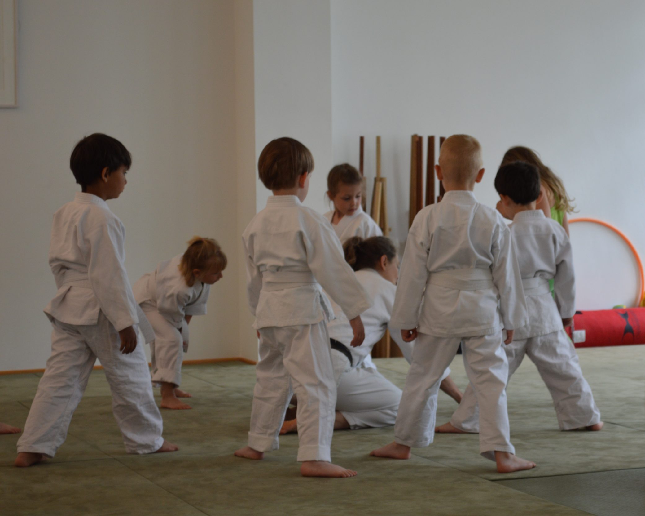 Einführungskurs Kinder-Aikido 6-12 Jahre